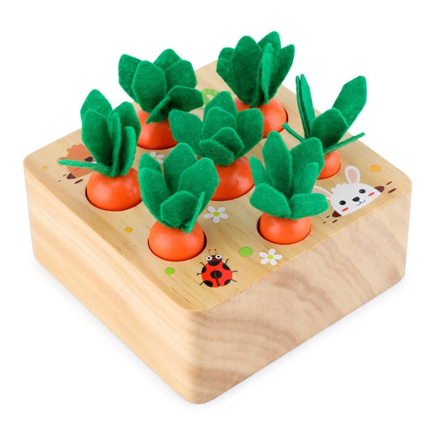 Veggie Sorter