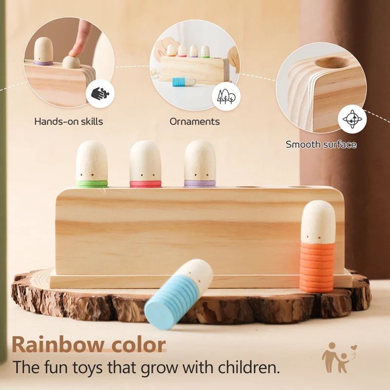 Sensory Development Toy