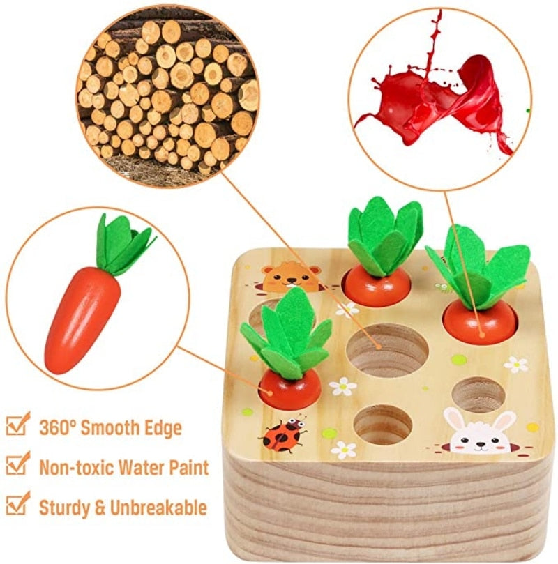 Veggie Sorter