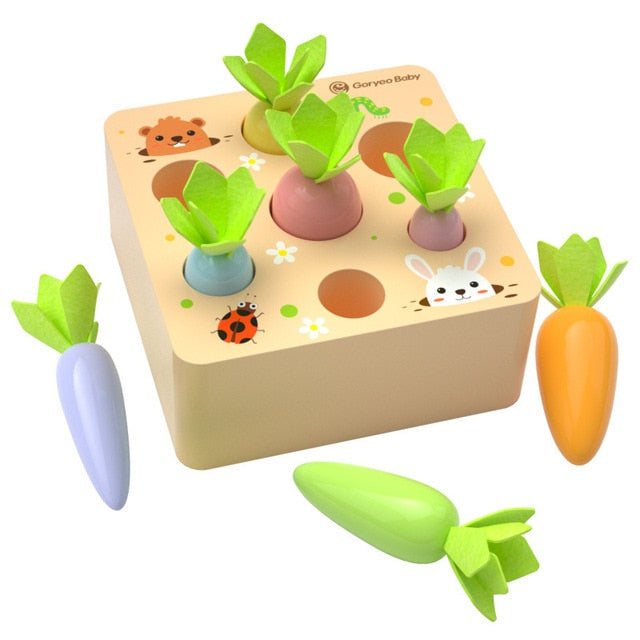 Veggie Sorter