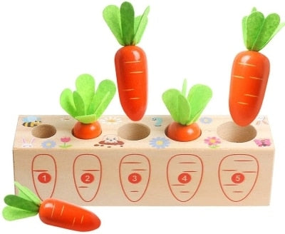 Veggie Sorter