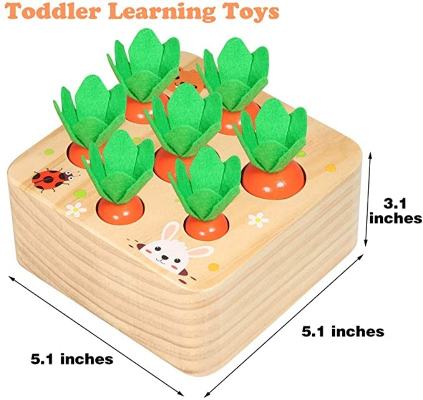 Veggie Sorter